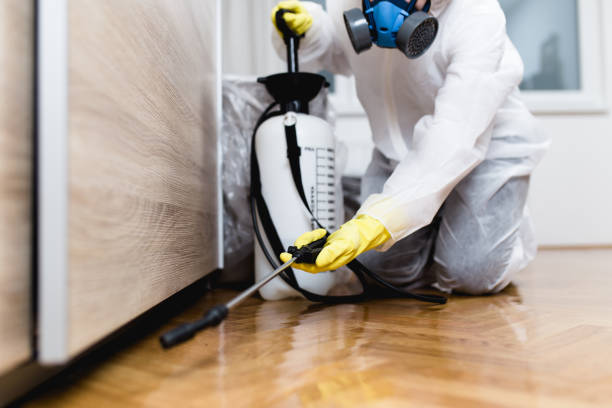 Best Pest Prevention Services  in Walnut Ridge, AR