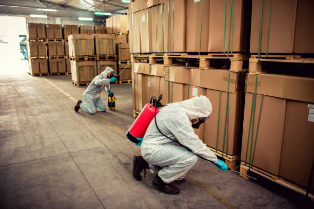 Best Exterminator Services  in Walnut Ridge, AR