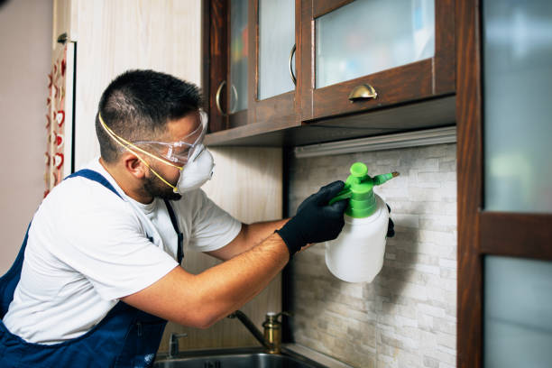 Trusted Walnut Ridge, AR Pest Control Experts