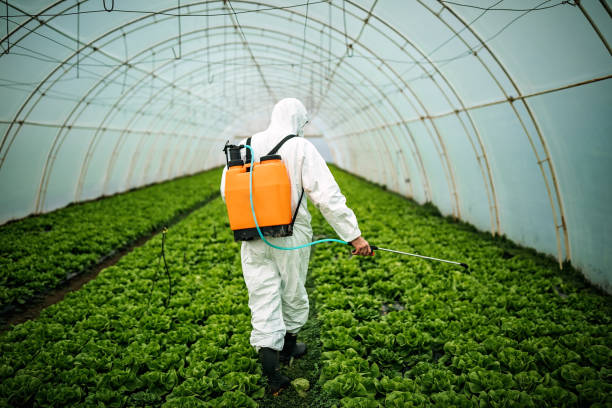 Best Best Pest Control Companies  in Walnut Ridge, AR