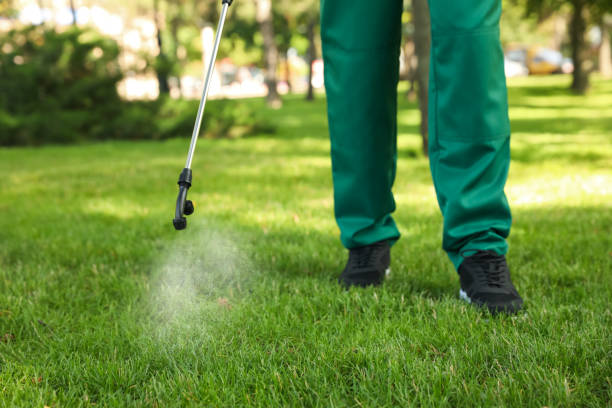 Best Emergency Pest Control  in Walnut Ridge, AR