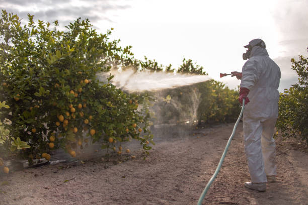 Best Commercial Pest Control Services  in Walnut Ridge, AR