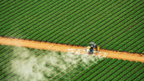  Walnut Ridge, AR Pest Control Pros